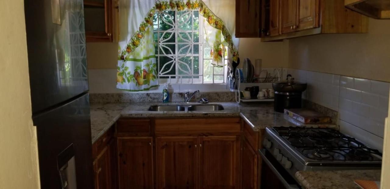 Chaudhry Holiday House Teluk Montego Bagian luar foto